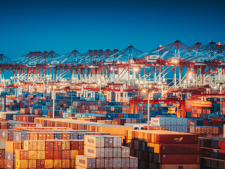 Container terminal at the harbour